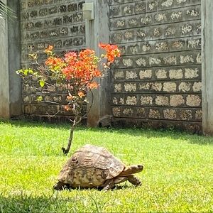 Meet your Posher, Jules